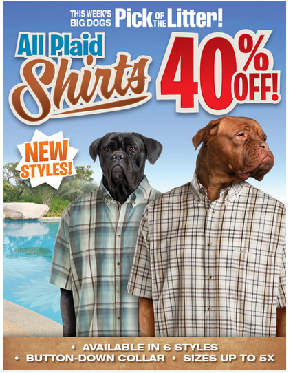 Save 40% off Plaid Shirts at Big Dogs up to size 5x!