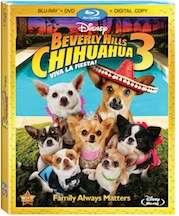 BEVERLY HILLS CHIHUAHUA 3: Viva La Fiesta On Blu-ray & DVD this September!