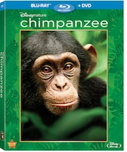 DisneyNature – CHIMPANZEE on Blu-ray & DVD 8/21!‏