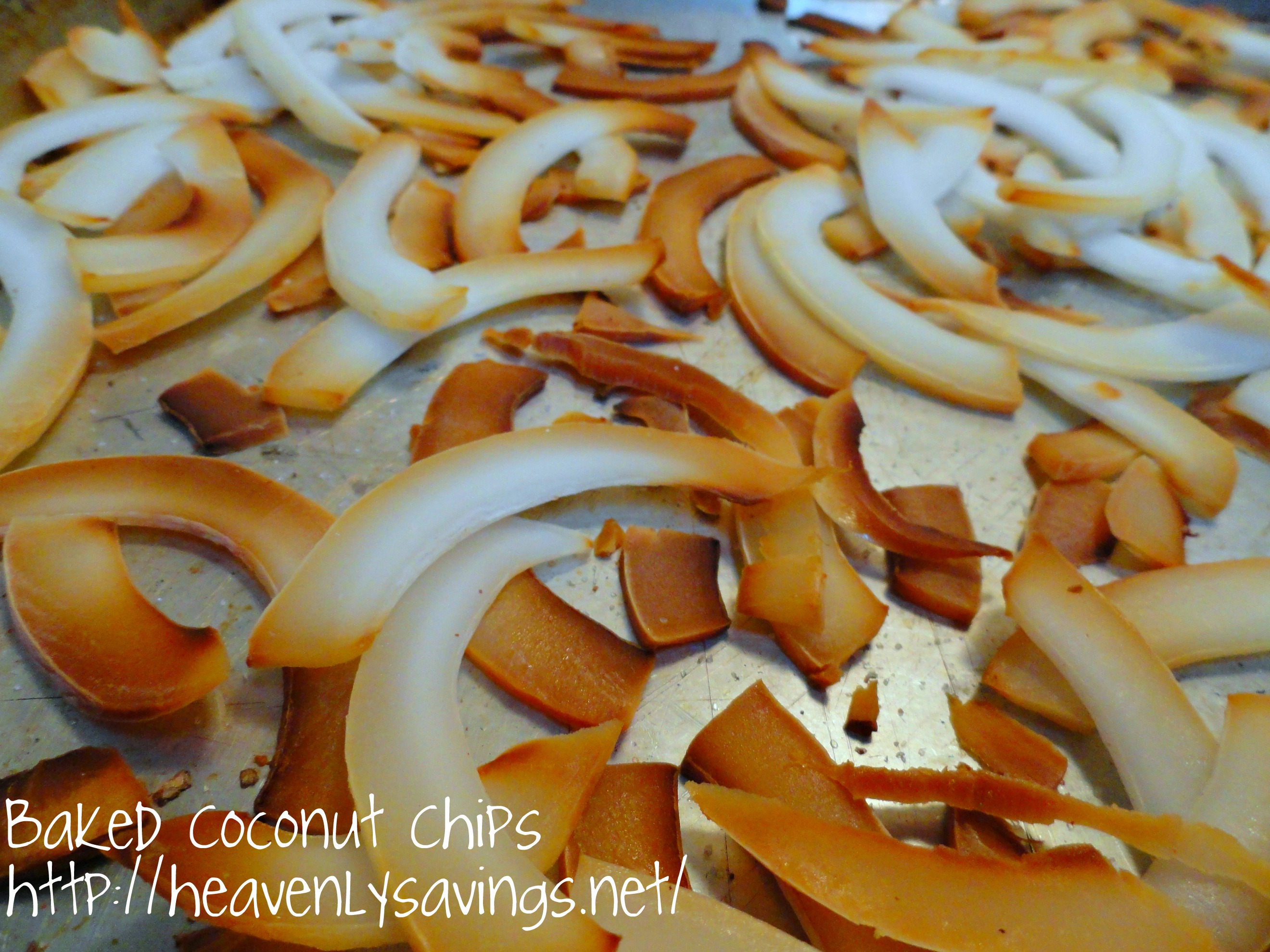 Easy to Make Homemade Coconut Chips!