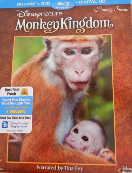 Disneynature Monkey Kingdom