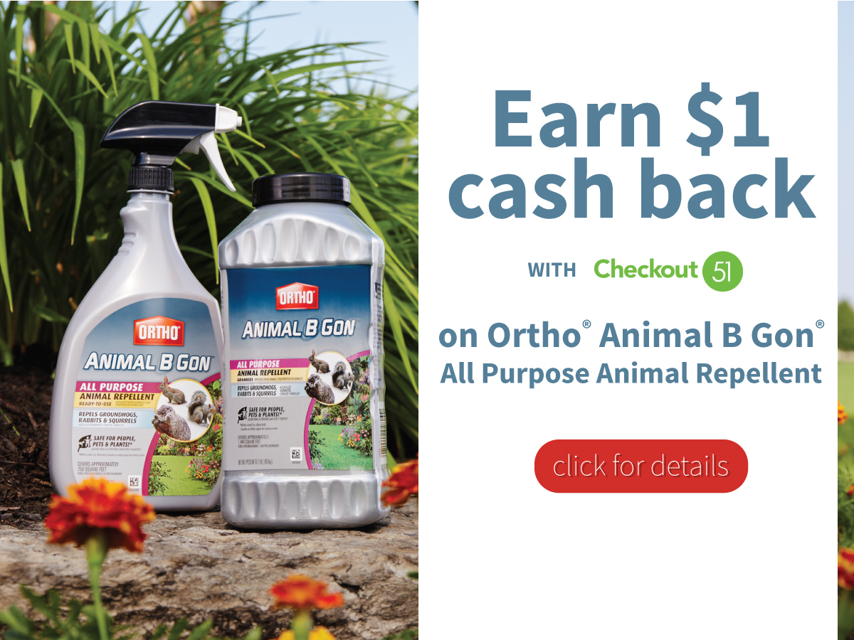 Great Deal on Ortho Animal B Gon!